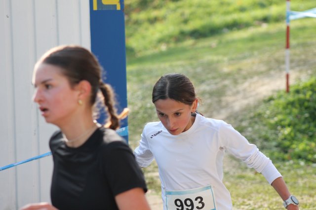 k-2024_crosscountry-land 482